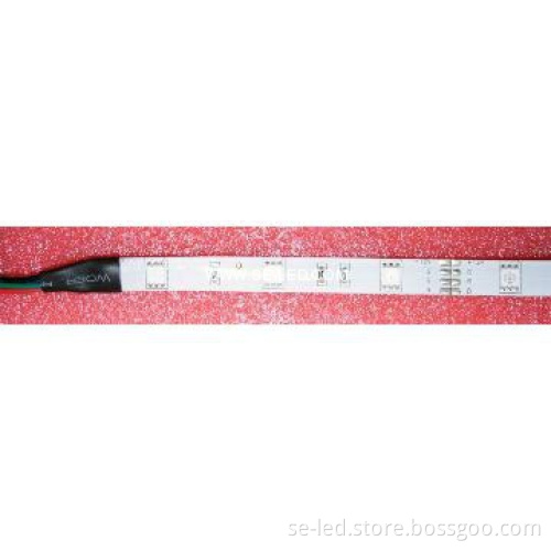 IP65 5050SMD30pcs/m dream color LED Strip lighting